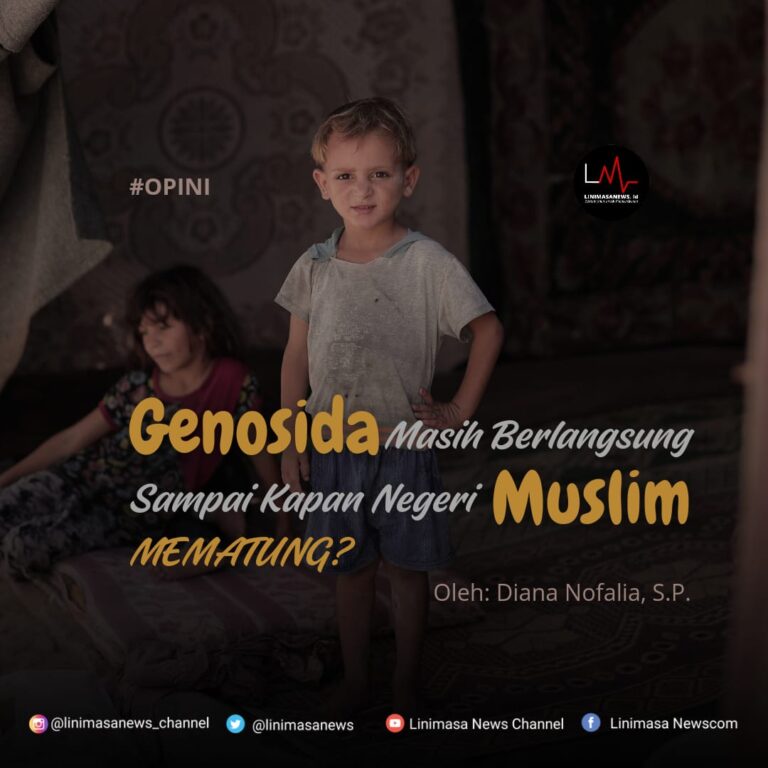 IMG-20241026-WA0017(1)