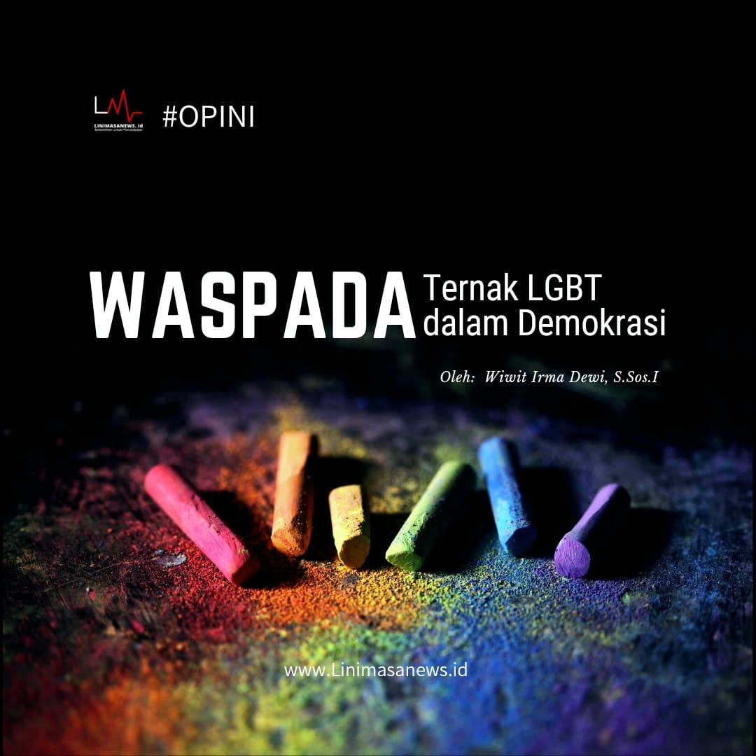 IMG-20241031-WA0001