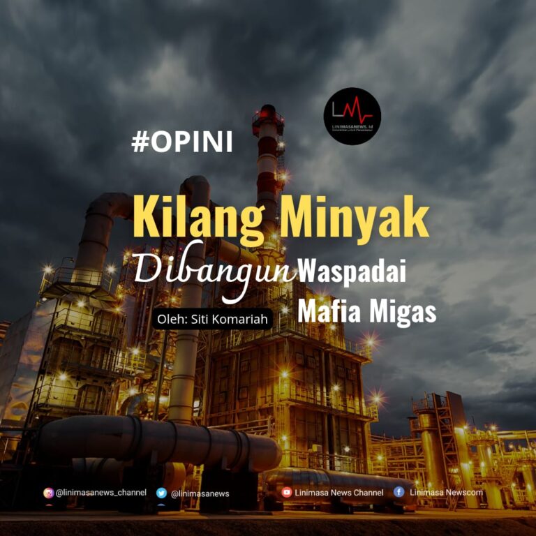 IMG-20250312-WA0019(1)