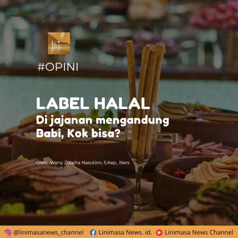 IMG-20250430-WA0004(1)