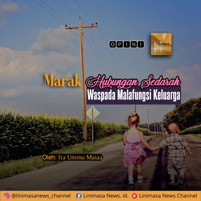 IMG-20250527-WA0013(1)